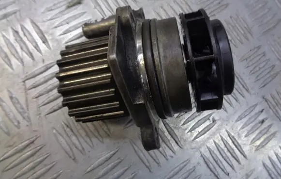 Volkswagen PASSAT B5.5 Water pump 038121019E