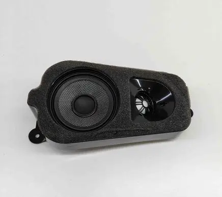 Panel speaker