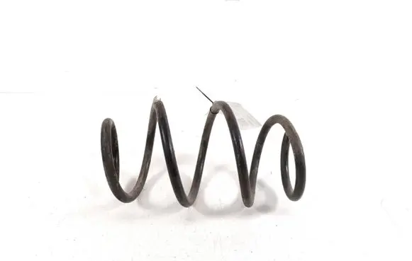 Front coil spring