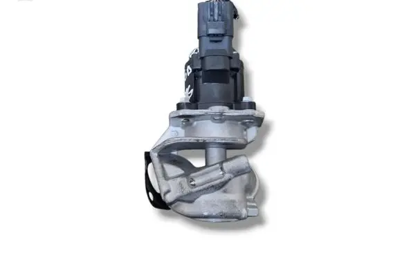 EGR valve