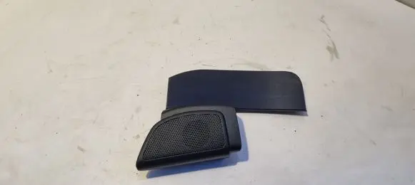 Front door high frequency speaker