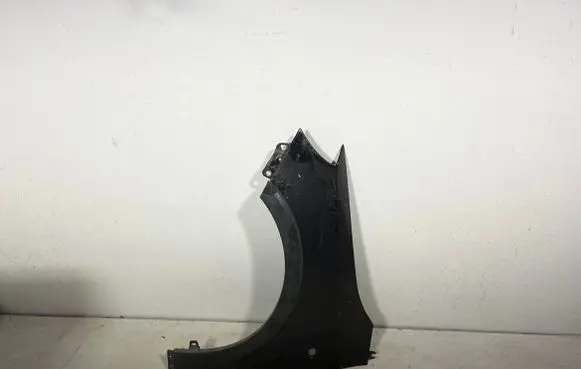 Skoda Roomster (5J) Fender