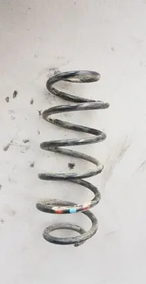 Rear coil spring