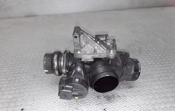 Peugeot 407 Throttle valve