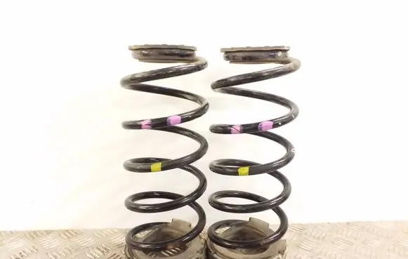 KIA Carens III Rear coil spring