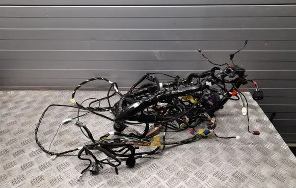 Tesla Model S Other wiring loom 100676700D 100442200G