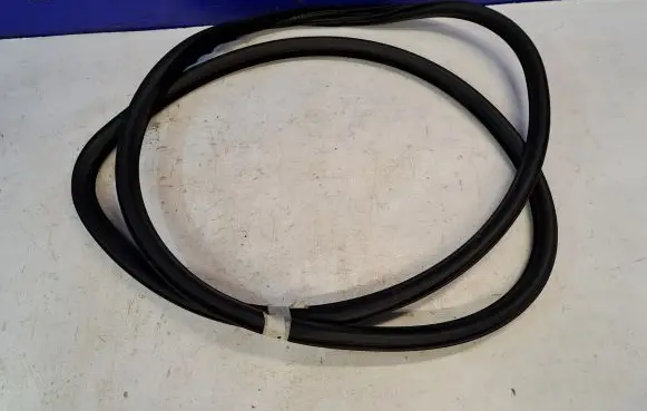 Volvo S80 Rubber seal rear door 30649295
