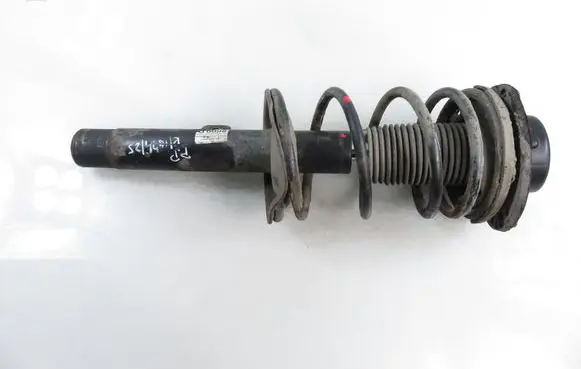 Peugeot 206 Front shock absorber with coil spring 