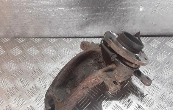 Renault Scenic II - Grand scenic II Front wheel hub spindle knuckle