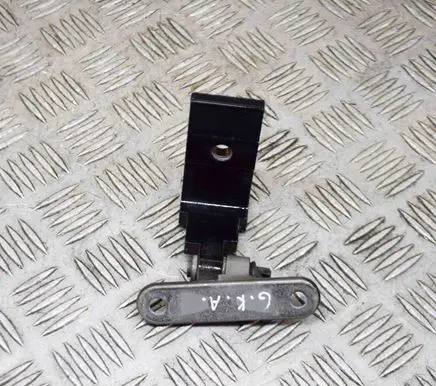 BMW 5 F10 F11 Rear door lower hinge 7185635