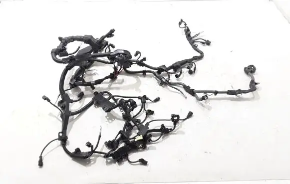 Lexus NX Engine installation wiring loom 8212178