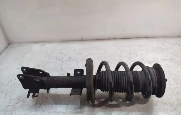 Opel Movano B Front shock absorber with coil spring