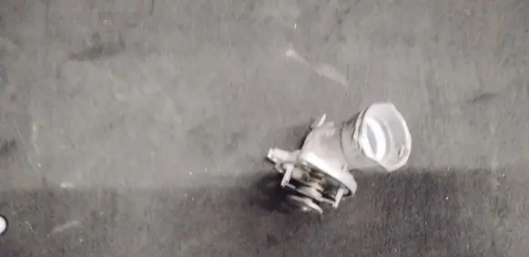 Thermostat/thermostat housing