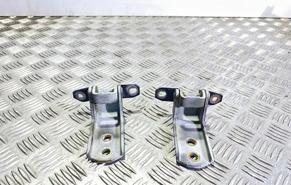 Suzuki Grand Vitara II Front door hinge set 