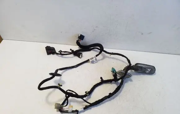 Rear door wiring loom