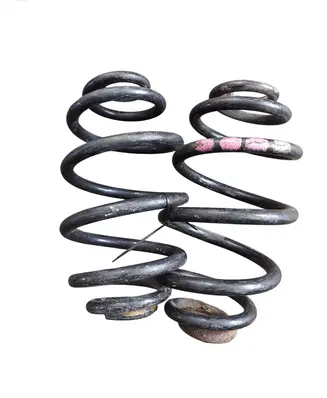 Rear coil spring