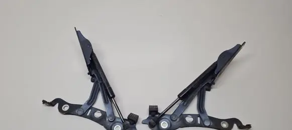 Tailgate/trunk/boot hinge