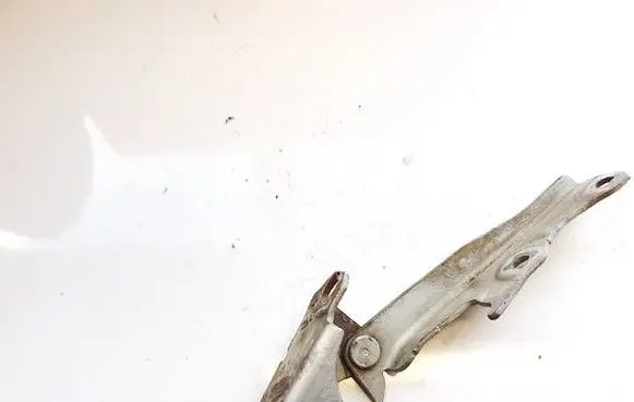 Mitsubishi Endeavor Engine bonnet/hood hinges