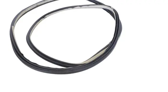BMW X2 F39 Rubber seal rear door 