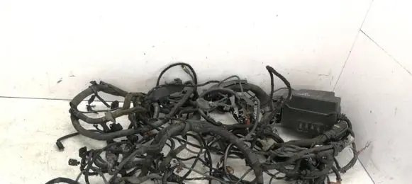 Engine installation wiring loom