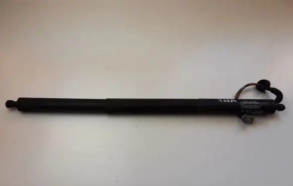 Ford Kuga II Tailgate strut CV44S402A55AA