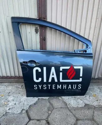 Renault Zoe Front door