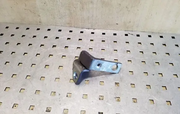Ford Focus Rear door lower hinge