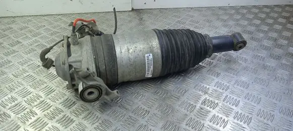 Porsche Cayenne (92A) Rear shock absorber/damper 7P5616019AG