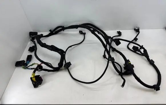 BMW 5 G30 G31 G38 Gearbox/transmission wiring loom 8589799
