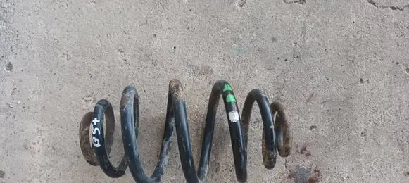Volkswagen PASSAT B5.5 Rear coil spring