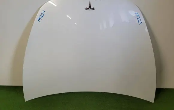 Tesla Model 3 Engine bonnet/hood 
