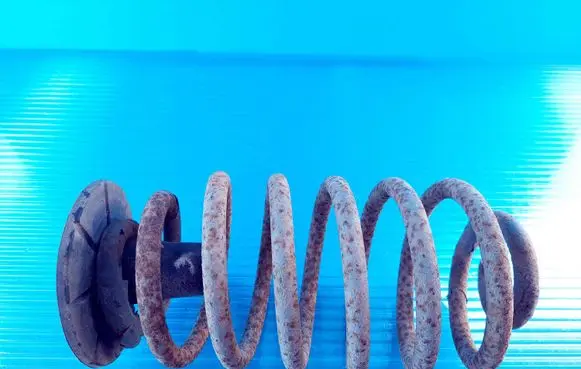 Opel Zafira A Rear coil spring