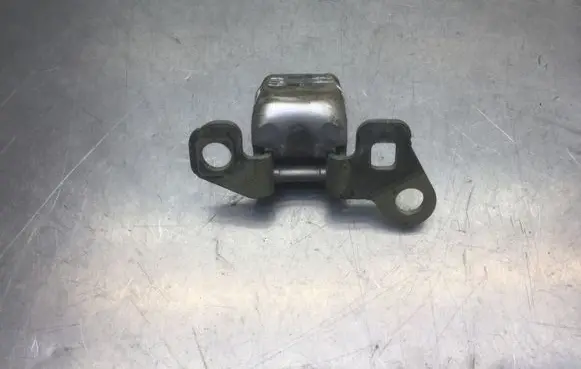 Renault Clio III Front door lower hinge ES71 223471G