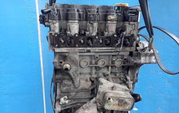 Opel Signum Engine 55196611 Z19DT