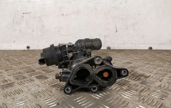 Thermostat/thermostat housing