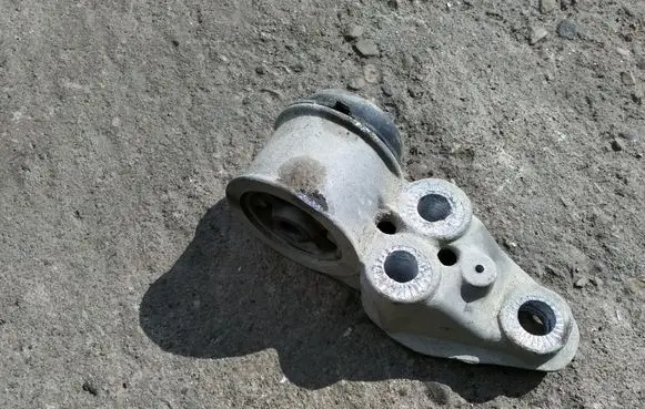 Volkswagen PASSAT B5.5 Rear axle beam mounts housing 