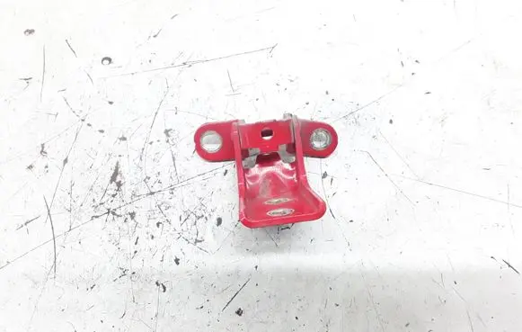 Rear door lower hinge