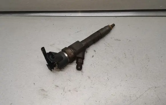 Renault Laguna II Fuel injector 8200100272 0445110110B