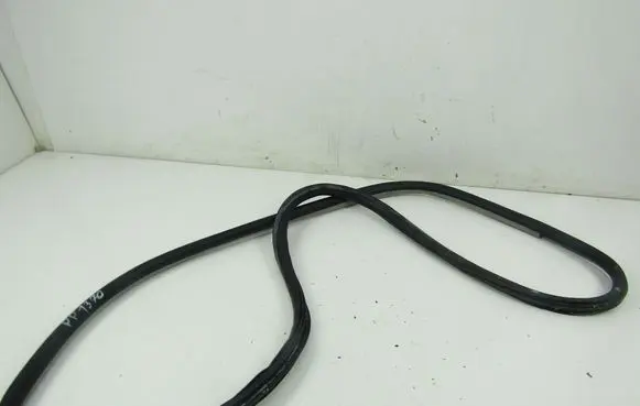 Volkswagen PASSAT B5.5 Front door rubber seal 