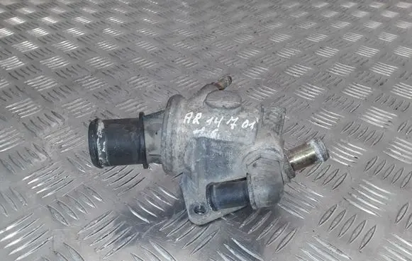 Thermostat/thermostat housing