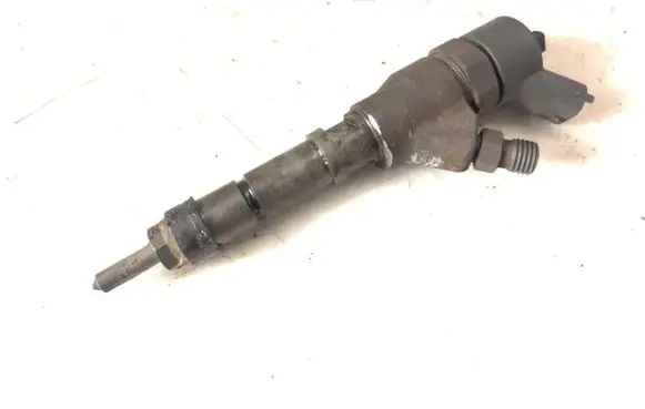 Peugeot 806 Fuel injector 9641742880 0445110076