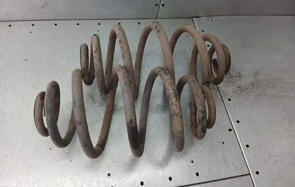 Rear coil spring