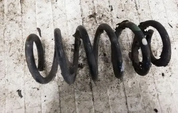 Toyota Avensis T270 Rear coil spring NOCODE