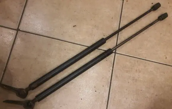 Tailgate/trunk strut/damper