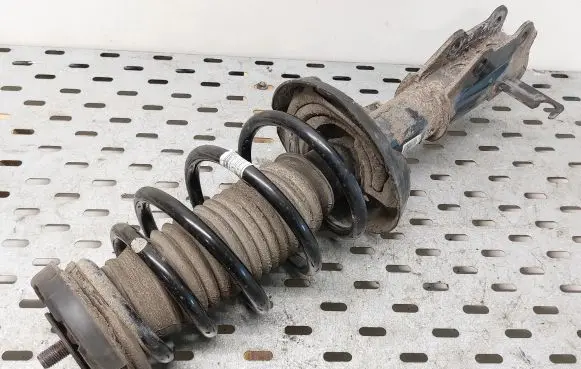 Opel Insignia A Front shock absorber with coil spring 22951830 367327926