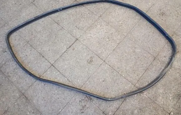 Renault Scenic I Sliding door rubber seal 
