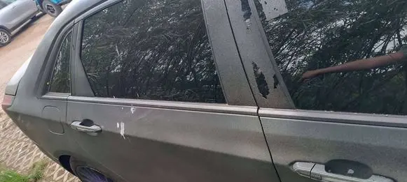 Cadillac CT6 Rear door