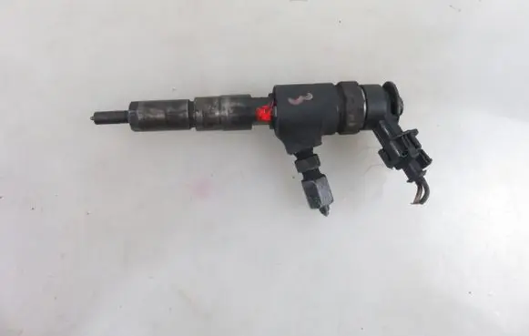 Peugeot 206 Fuel injector 0445110252