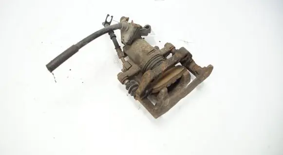 Ford Mustang V Rear brake caliper