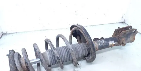 Hyundai Tucson JM Rear shock absorber with coil spring 